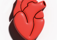 cómo mejorar la salud vascular