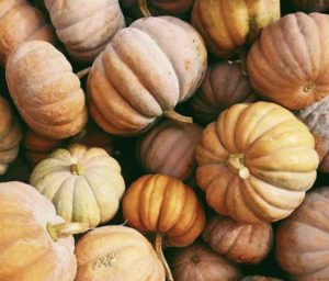 Cómo adoptar hábitos saludables en otoño para fortalecer tu cuerpo y mente.